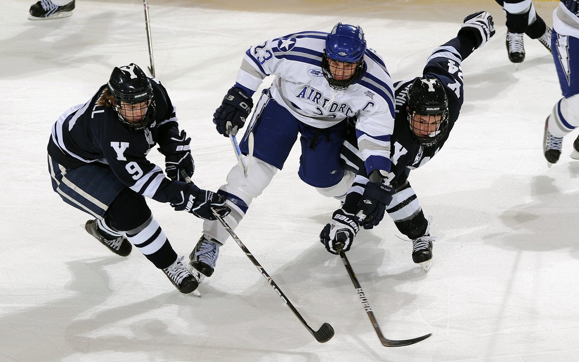 开拓者关键战突围浙江队，武切维奇成为关键先生