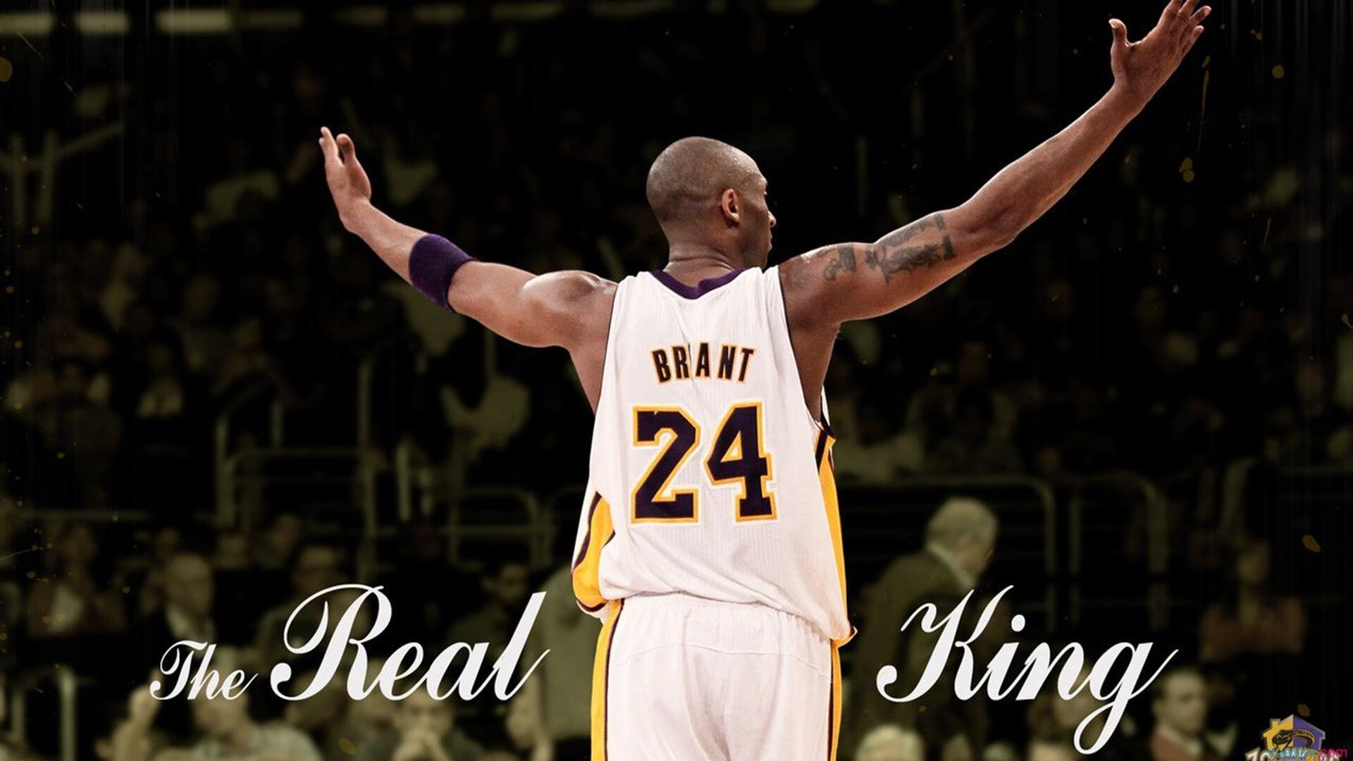 赛道上的王权更迭,F1街道赛焦点战,国王完胜太阳